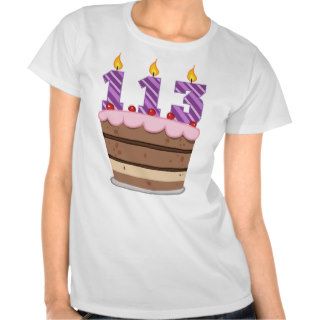 Age 113 on Birthday Cake T Shirt
