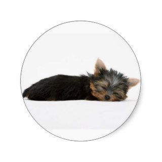 Yorkie Puppy Sleeping Stickers