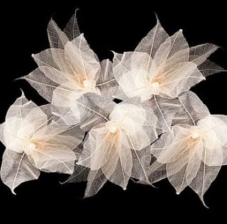 natural leaf fairy lights by rose hill boutique