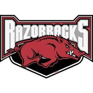 Arkansas Razorbacks Vinyl Decal