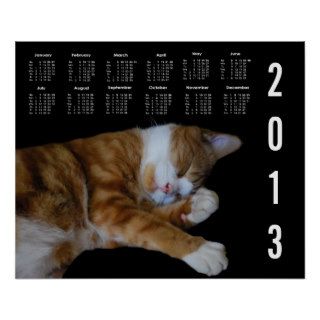 Lazy Ginger cat 2013 Calendar Posters
