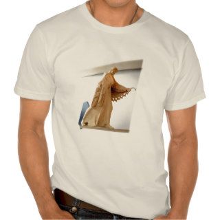 Ancient Athena T Shirt