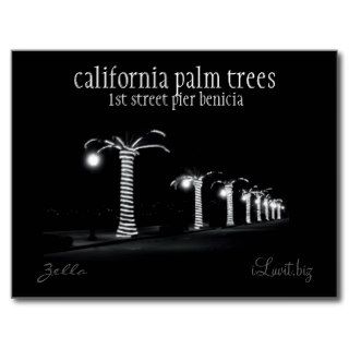 CALIFORNIA PALM TREES by iLuvit.biz   post card