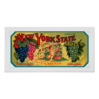 New York State Grapes Posters