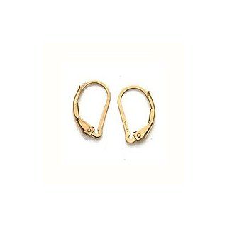 Gold Filled Earrings Interchangeable Leverbacks (2)