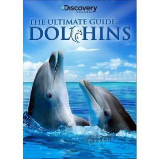 The Ultimate Guide Dolphins