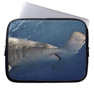Great Hammerhead Shark 2 Laptop Sleeve