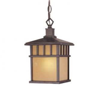 Dolan Designs 9713 68 Energy Star One Light Hanging Light with Photocell from the Barton Collection, Winchester   Ceiling Pendant Fixtures  