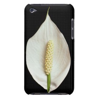 Spathe and Flower of <Spathiphyllum> 'Mauna Loa' iPod Touch Case