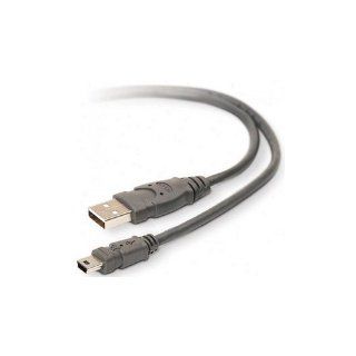 Belkin F3U155 06 SN 6ft USB A to USB Mini B Power/Data Pro USB Cable Computers & Accessories
