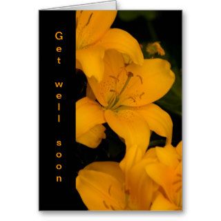 Beautiful Orange Lily Flowers get well card