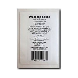 Indivisa Dracaena Seeds   Cordyline australis   .05 Grams   Approx 45 Gardening Seeds   Flower Garden Seed   Dracaena Plants