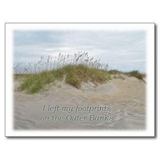 Sea Oats on Sand Dune Outer Banks NC Post Cards
