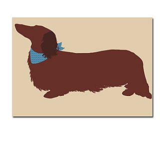 long haired dachshund dog print by indira albert