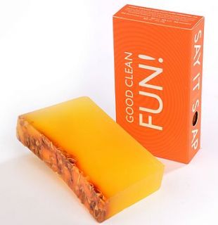 'good clean fun' handmade soap by sedbergh soap company