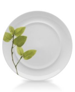 Mikasa Dinnerware, Daylight Collection   Fine China   Dining & Entertaining