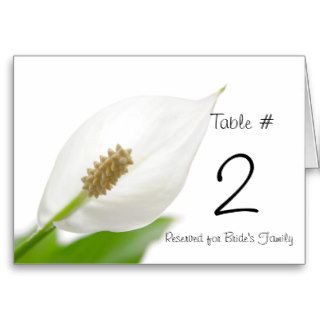 Stylish Lily Reception Table Number Cards