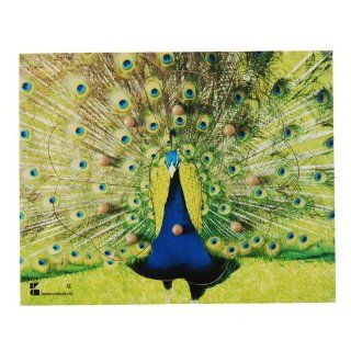 Peacock Toys & Games