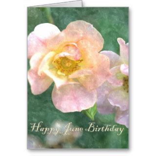 June Birth Flower Rose Greeting Cards