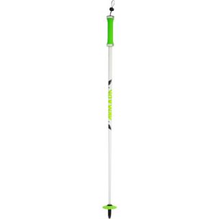 Armada Team Composite Ski Pole