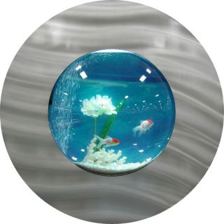 Round Bubble Aquarium Tank