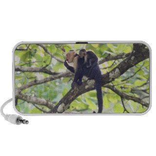 Mother and Baby Monkey Notebook Speakers