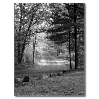 Park Road Black and White Photo Post Card