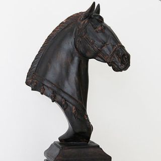 black horse head by marquis & dawe