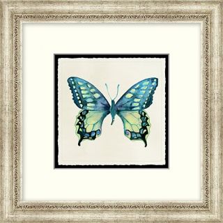 India Hicks Island Living Watercolor Framed Art   Butterfly 16