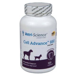 Cell Advance   880 mg x 120 Caps  Pet Antioxidant Nutritional Supplements 