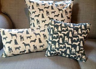 parklife 50 x 50 cushion by the shed inc