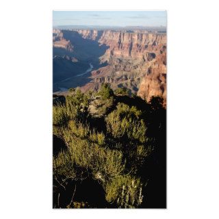 Arizona Grand Canyon National Park (43) Art Photo