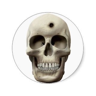 Skull with Bullet Hole Stickers