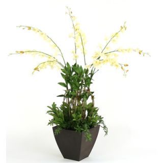 Distinctive Designs Silk Orchids and Greenery in Planter