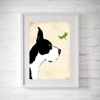 great dane dog with dragonfly fine art print by indira albert