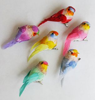 set of six feather bird clip decorations by petra boase