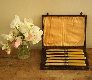 six butter knives in a case by homestead store