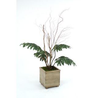 Distinctive Designs Silk Lacy Philodendron Leaves, Badam Nuts and