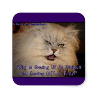 FUN Grumpy Fat Cats With LOL Captions   Label # 17 Square Stickers