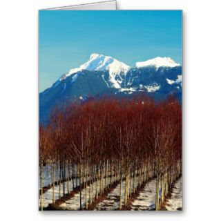 Tree Nursery and Snow Covered Mountains Greeting Card