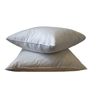 20 x 20 inch Feather Down Pillows Inserts (Pack of 2) Accent Pieces