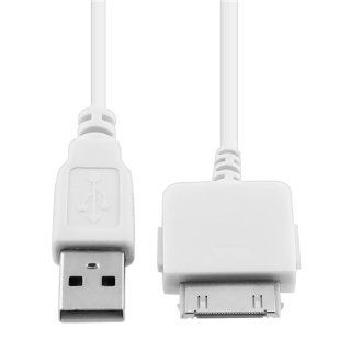 CommonByte USB Cable/Cord for Microsoft ZUNE Player 3 8 30 80 GB Computers & Accessories
