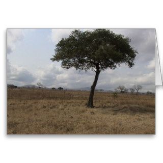 Lonely Tree Card