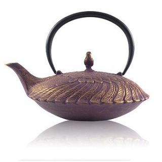 hiyaku cast iron teapot by the exotic teapot