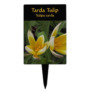 Tarda Tulip Garden Marker Cake Picks