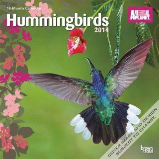Animal Planet Hummingbirds   2014 Calendar  