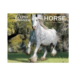 Gypsy Vanner Horse 2008 Calendar Willow Creek Press 9781595435934 Books