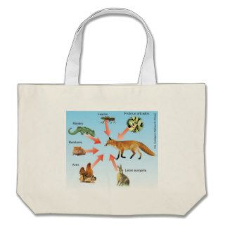 dietaraposa11 didactic project diet of the fox tote bag