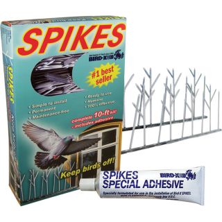 Bird-X Bird Spikes — 10ft.L Strip, Model# SP-10-NR  Bird Repellers