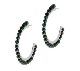 Honora Cultured Pearl 1 1/2 Sterling Hoop Earrings —